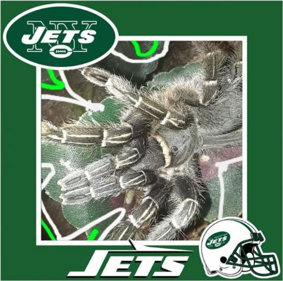jjets87
